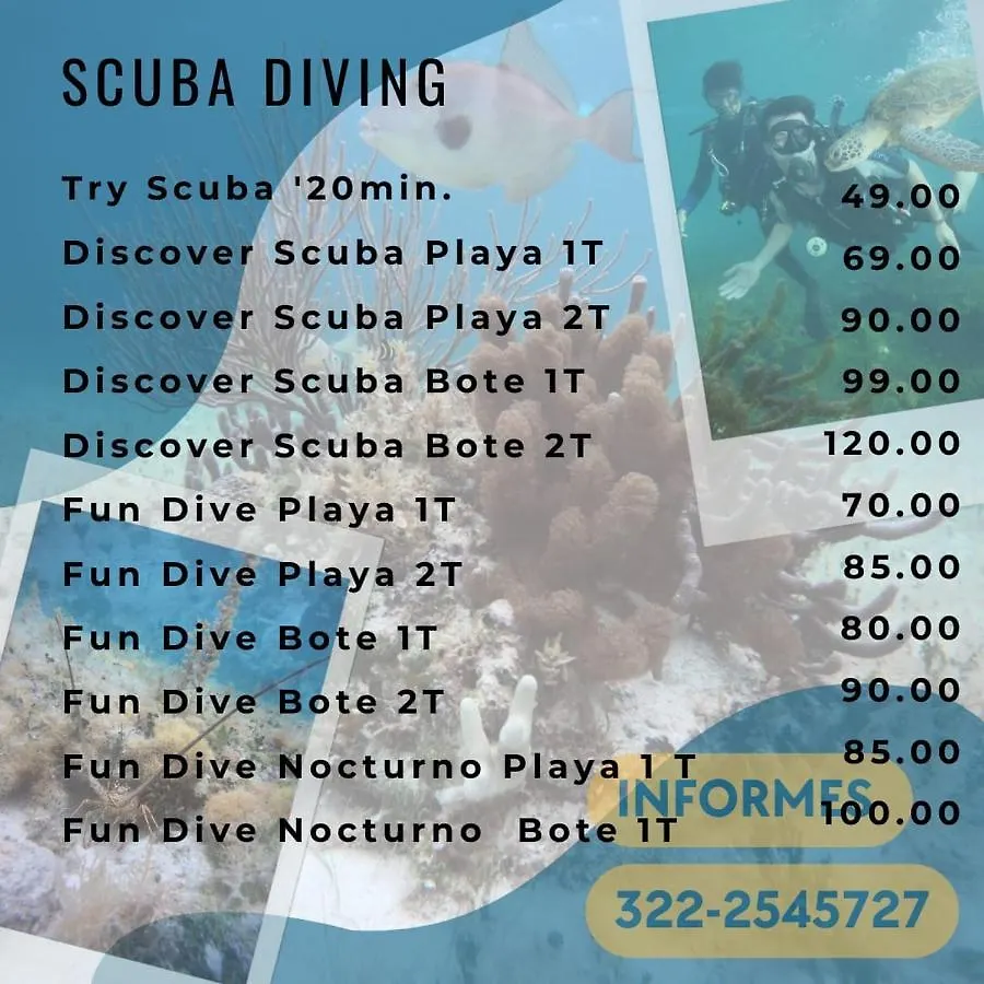 Divershostalcozumel Hostel Mexico