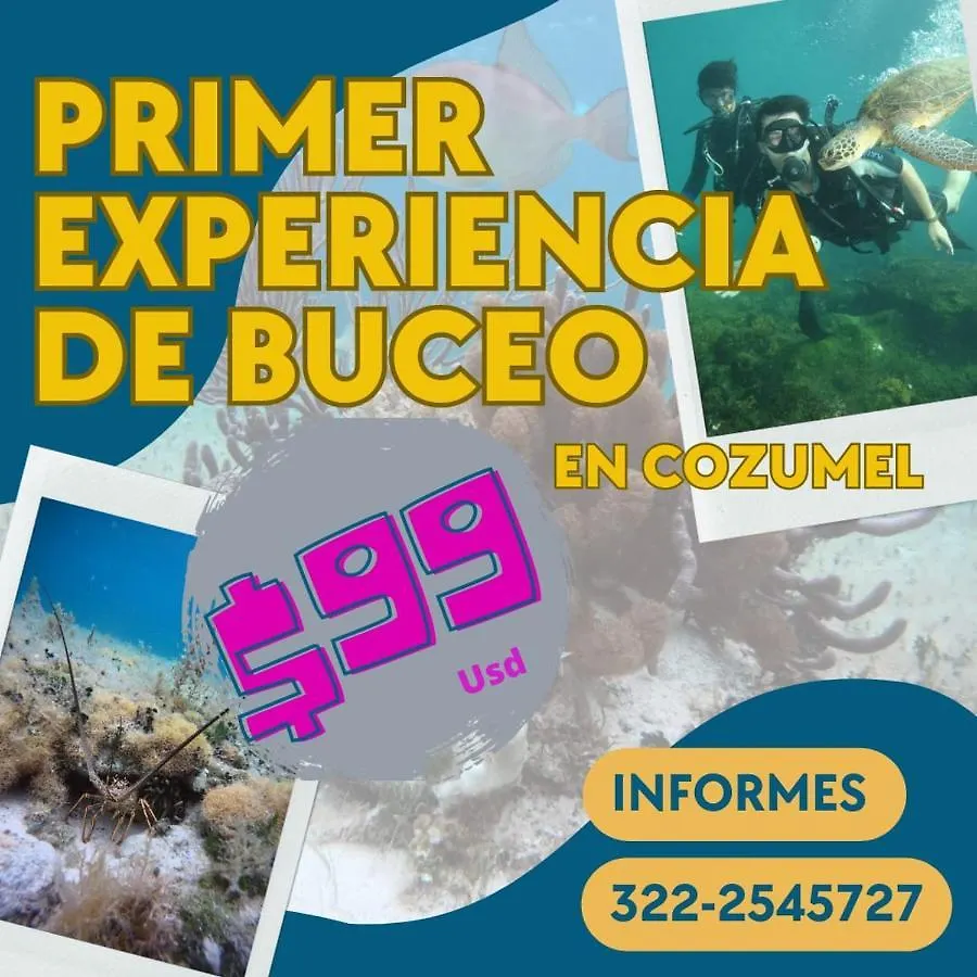 Divershostalcozumel Hostel Mexico