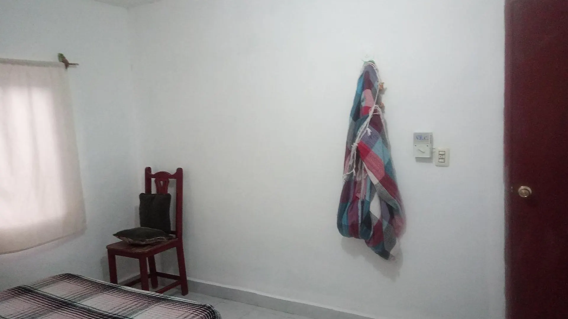 Divershostalcozumel Hostel Cozumel